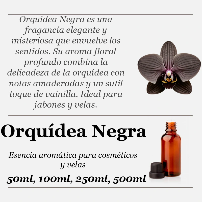 Orquídea negra