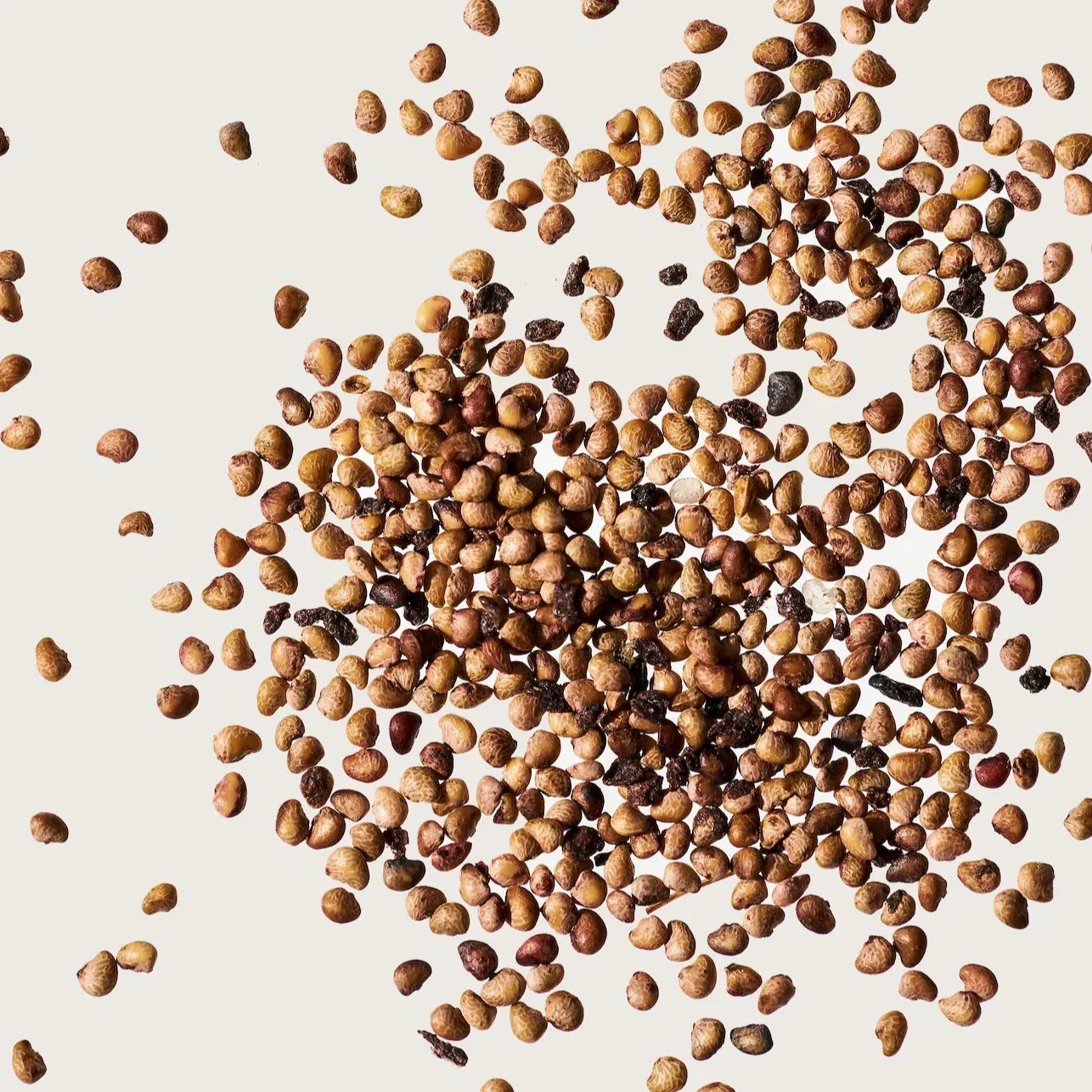 Sementes de Morango Esfoliantes