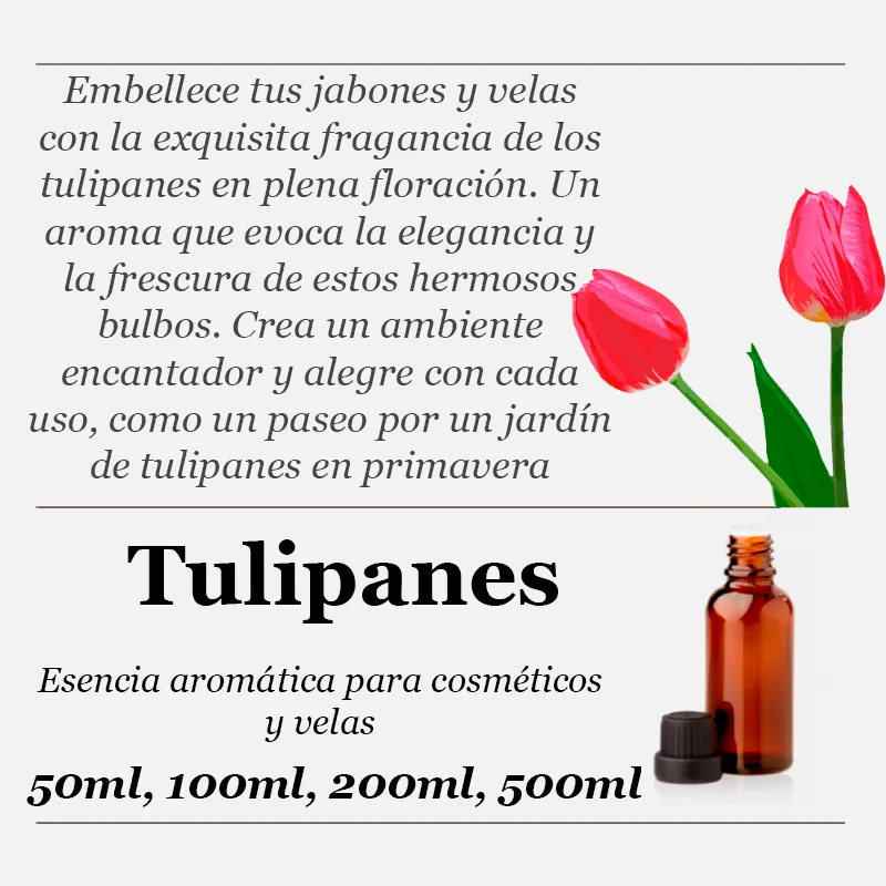 Tulipas essência aromática